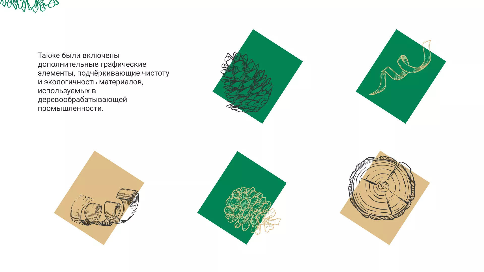 Разработка айдентики и сайта компании «Plastwood» в Байкальске