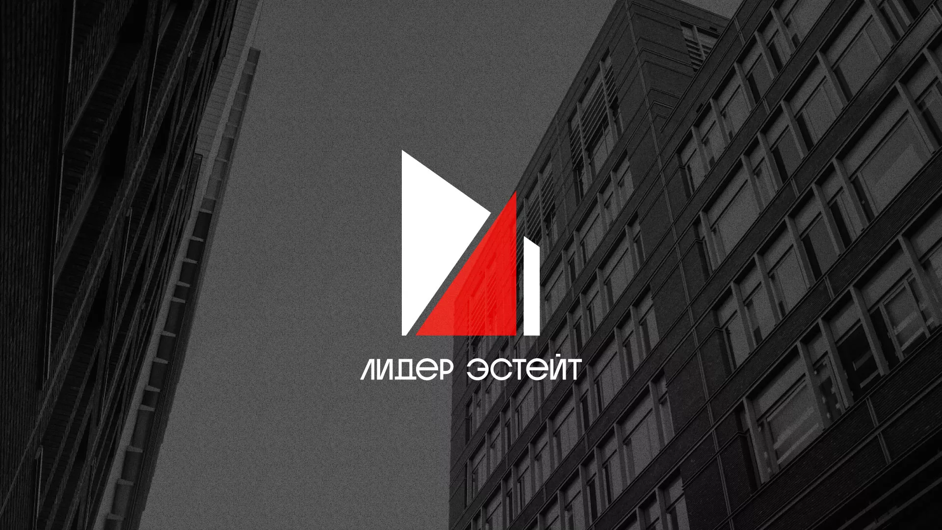 Сделали логотип для агентства недвижимости «Лидер Эстейт» в Байкальске